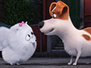 The Secret Life of Pets movie - Picture 18