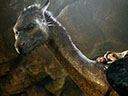 Eragon movie - Picture 4