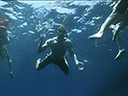 Open Water 2: Adrift movie - Picture 8