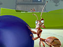 Гроза муравьев  - Фотография 14