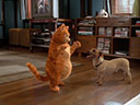 Garfield movie - Picture 4