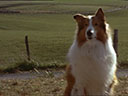 Lassie movie - Picture 1
