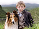 Lassie movie - Picture 3