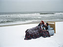Eternal Sunshine of the Spotless Mind movie - Picture 13
