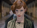 The Danish Girl movie - Picture 5