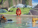 Angry Birds в кино  - Фотография 16