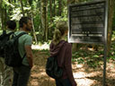 The Forest movie - Picture 2