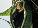 Jack and the Beanstalk: The Real Story movie - Picture 2