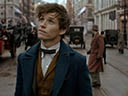 Fantastic Beasts and Where to Find Them movie - Picture 16