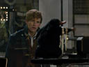 Fantastic Beasts and Where to Find Them movie - Picture 18