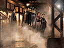 Fantastic Beasts and Where to Find Them movie - Picture 20