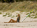 The Shallows movie - Picture 15