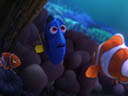 Finding Dory movie - Picture 1