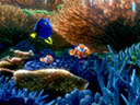 Finding Dory movie - Picture 7