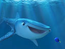 Finding Dory movie - Picture 13