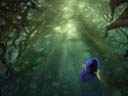 Finding Dory movie - Picture 15