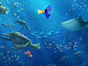 Finding Dory movie - Picture 19
