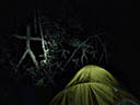 Blair Witch movie - Picture 5