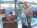 Dolphin Tale movie - Picture 6
