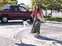 Dolphin Tale movie - Picture 7