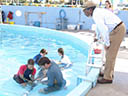 Dolphin Tale movie - Picture 10