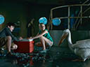 Dolphin Tale movie - Picture 19