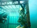 Shark Night 3D movie - Picture 15