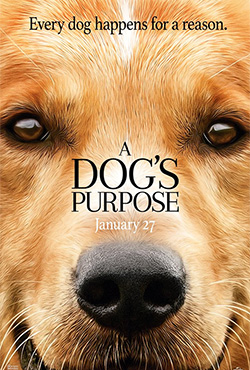 A Dog's Purpose - Lasse Hallstrom