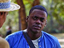 Get Out movie - Picture 11