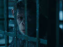 War for the Planet of the Apes movie - Picture 8