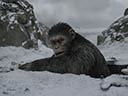 War for the Planet of the Apes movie - Picture 15