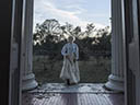 The Beguiled movie - Picture 17