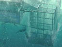 Open Water 3: Cage Dive movie - Picture 2