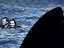 Open Water 3: Cage Dive movie - Picture 4