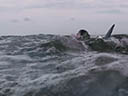 Open Water 3: Cage Dive movie - Picture 6