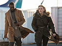 The Mountain Between Us movie - Picture 19