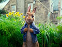 Peter Rabbit movie - Picture 3