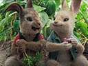 Peter Rabbit movie - Picture 4