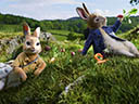 Peter Rabbit movie - Picture 6