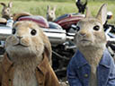 Peter Rabbit movie - Picture 8