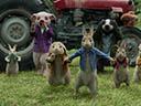 Peter Rabbit movie - Picture 11