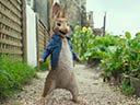Peter Rabbit movie - Picture 12