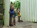Peter Rabbit movie - Picture 14