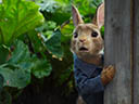Peter Rabbit movie - Picture 15