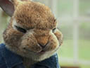 Peter Rabbit movie - Picture 17