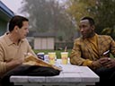 Green Book movie - Picture 8