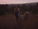 Mia un baltā lauva filma - Bilde 6