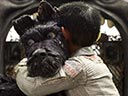 Isle of Dogs movie - Picture 4