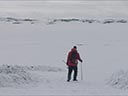 Arctic movie - Picture 2
