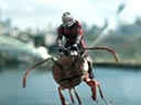Человек-муравей и Оса  - Фотография 12